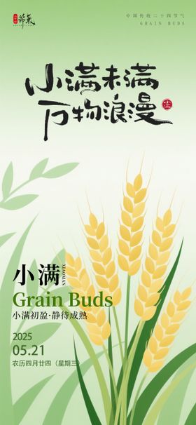 小满节气金色麦穗海报