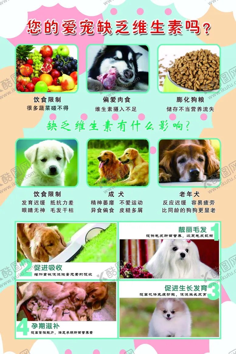 编号：71921406261522147833【酷图网】源文件下载-宠物医院海报宠物海报