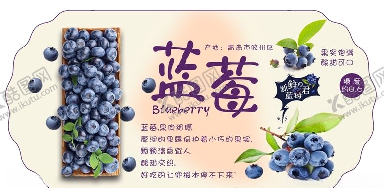 蓝莓吊旗展架海报板新鲜的