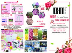 董欣