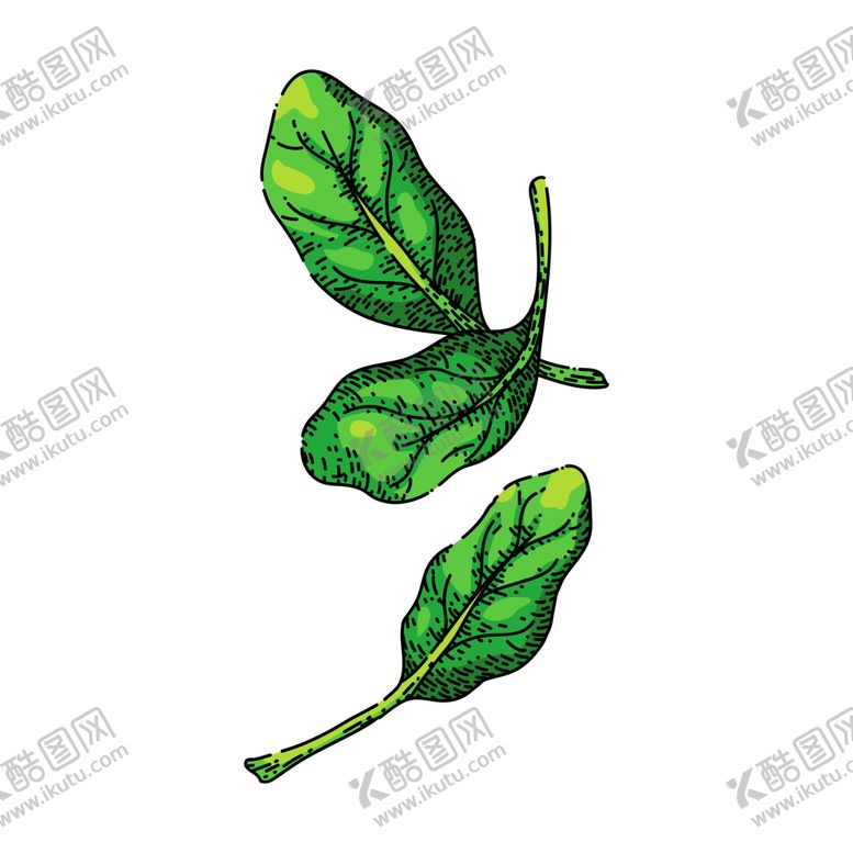 编号：15959401210022408425【酷图网】源文件下载-卡通菠菜