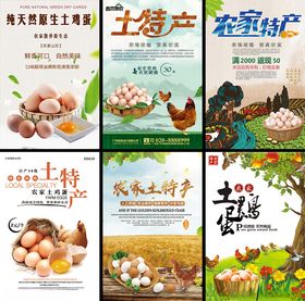 多样土特产品海报