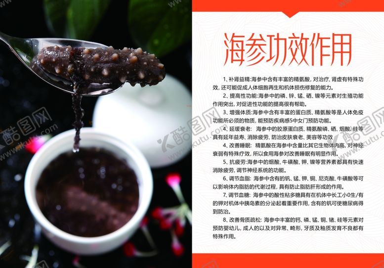 编号：13651802112209282504【酷图网】源文件下载-海参的功效和作用