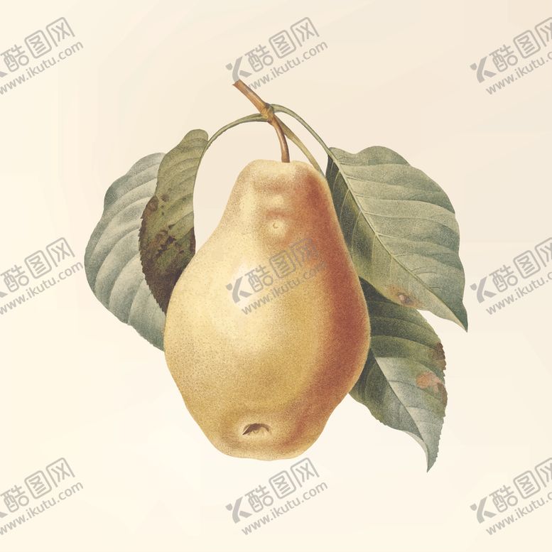 编号：39761407091832596990【酷图网】源文件下载-水果