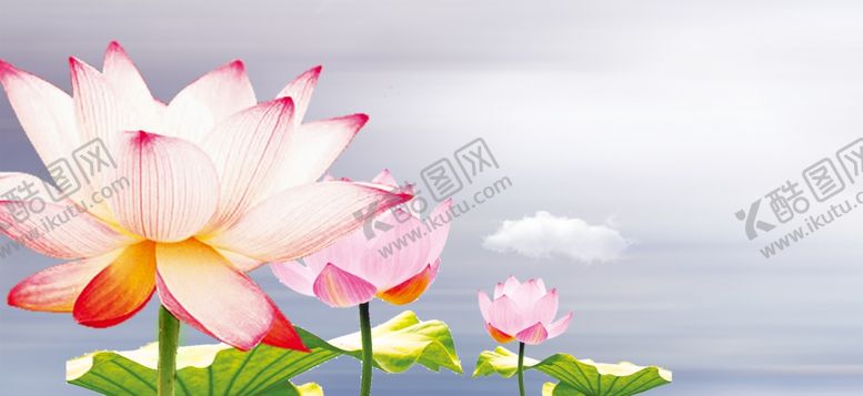 编号：13426407041101082307【酷图网】源文件下载-手绘荷花