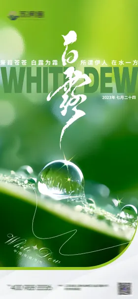 二十四节气白露海报质感实景水珠