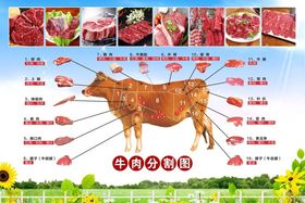 牛肉分割图