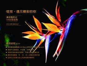 整形代金券