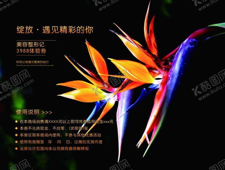 编号：44631510171146129132【酷图网】源文件下载-整形代金券