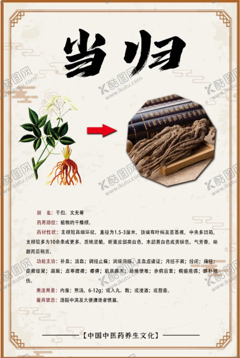 编号：70526309261359264352【酷图网】源文件下载-当归海报