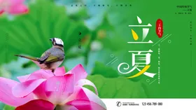 立夏荷花闪屏地产