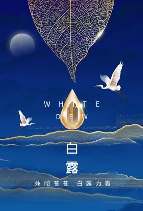 白露宣传活动海报