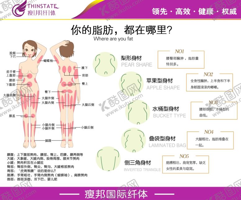 编号：86487405011207289041【酷图网】源文件下载-瘦邦脂肪分布图