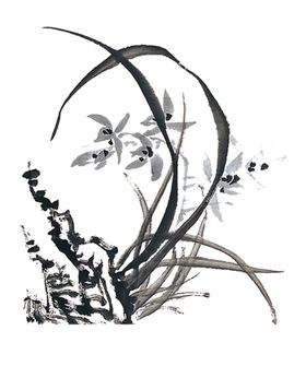 兰花梅手绘鸟鸟画