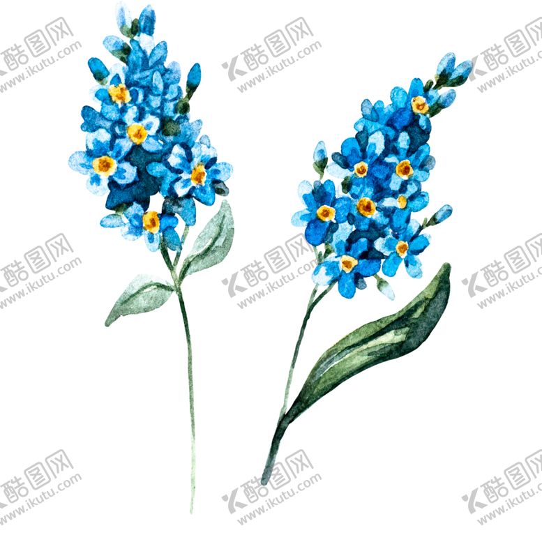 编号：25614309261031434662【酷图网】源文件下载-手绘植物