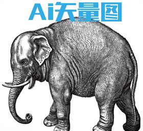 大象
