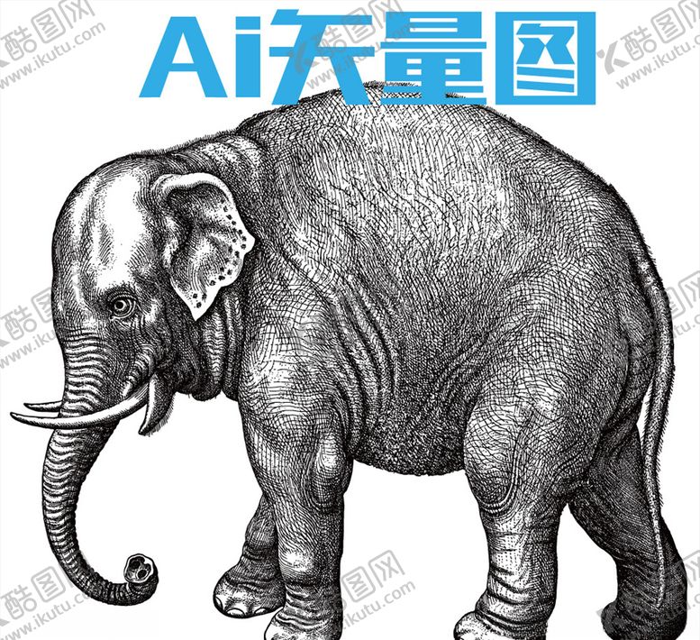 编号：54040205081444217486【酷图网】源文件下载-大象