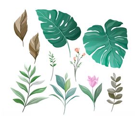 花叶子