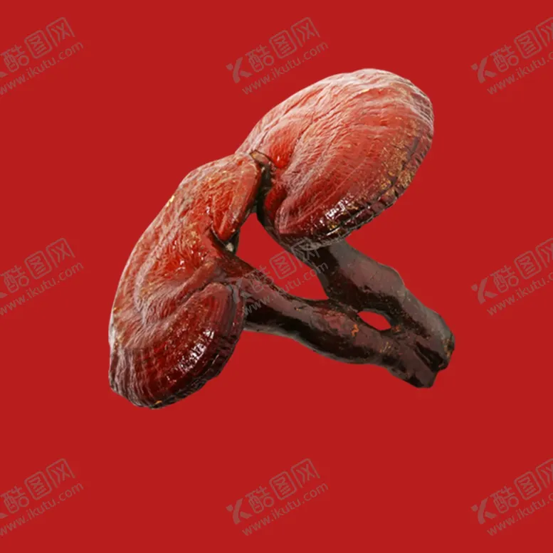 编号：82547302281928177128【酷图网】源文件下载-灵芝