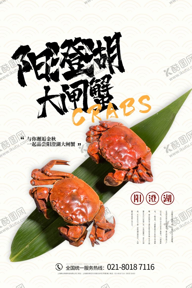 编号：57252005120423155960【酷图网】源文件下载-大闸蟹