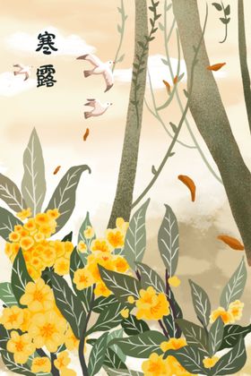寒露海报
