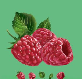 蔓越莓