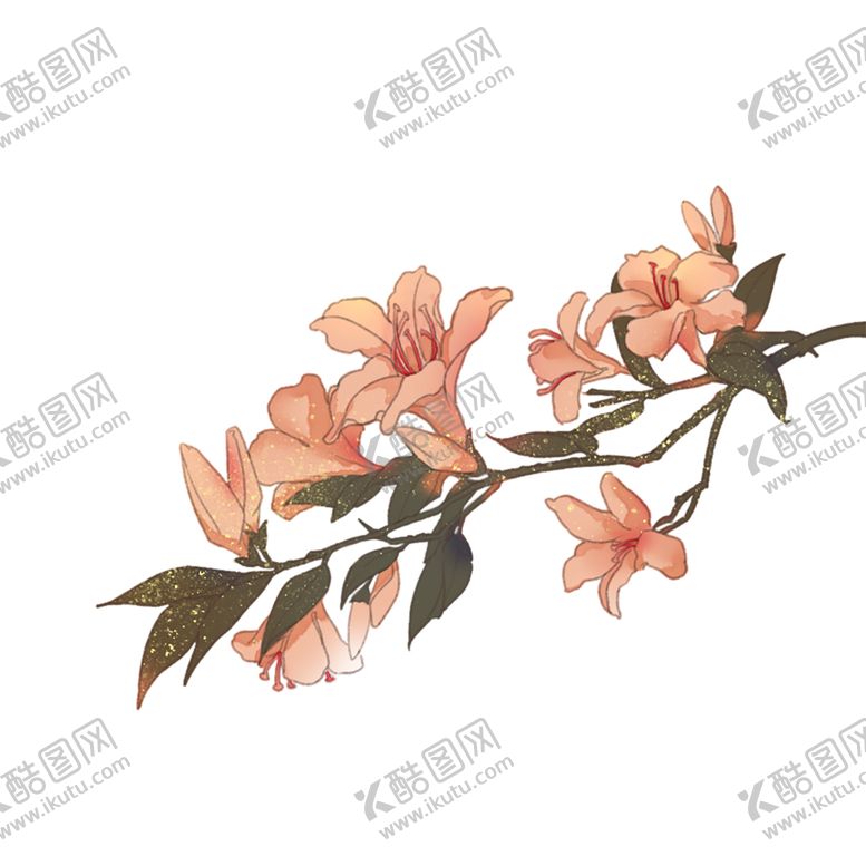 编号：36617307042320293490【酷图网】源文件下载-手绘植物花卉