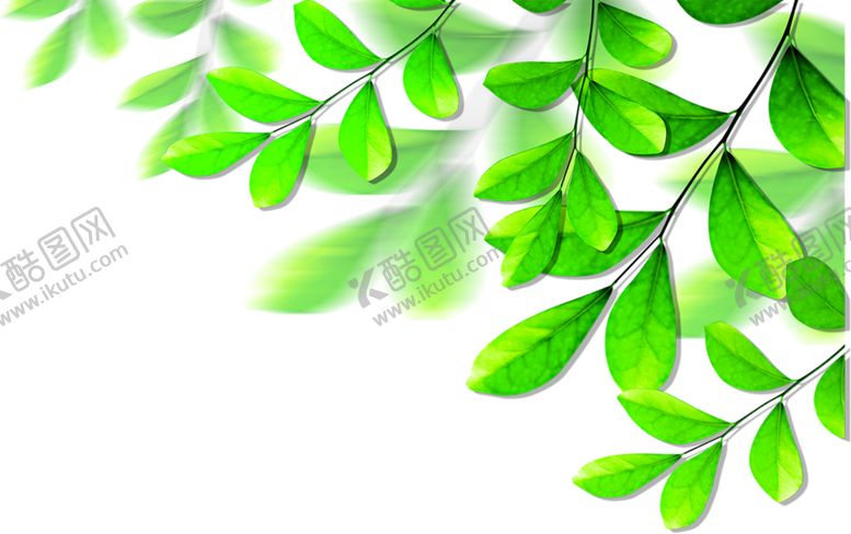 编号：24461106282209537299【酷图网】源文件下载-绿色植物