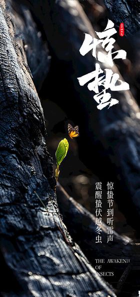 传统24节气惊蛰创意海报