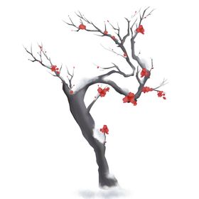 梅花素材