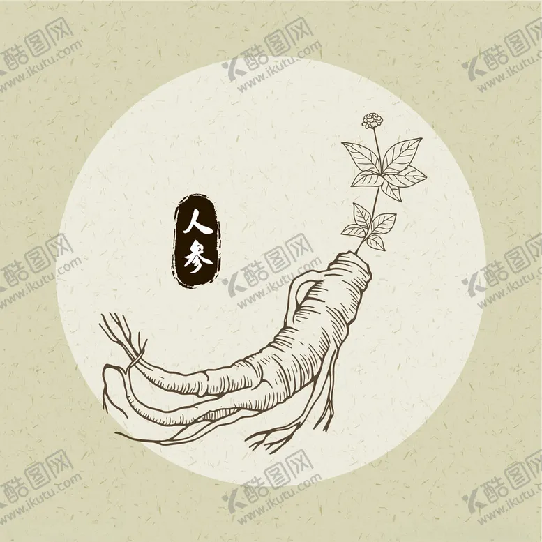 编号：68719601271122301820【酷图网】源文件下载-人参