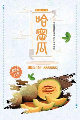 哈密瓜海报