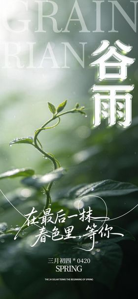 二十四节气-谷雨