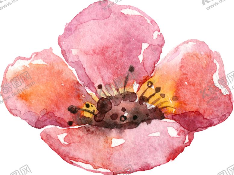 编号：49031206160141264449【酷图网】源文件下载-水彩手绘花卉花朵植物