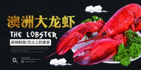 澳洲大龙虾