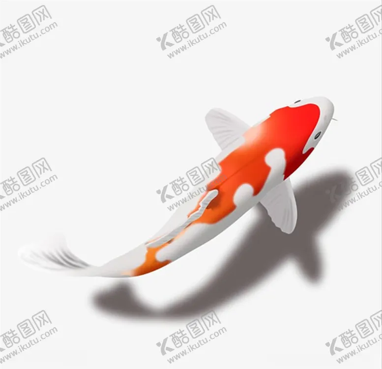 编号：10985804300831578785【酷图网】源文件下载-好运锦鲤