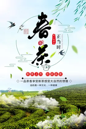 春茶季叶叶背景叶海报