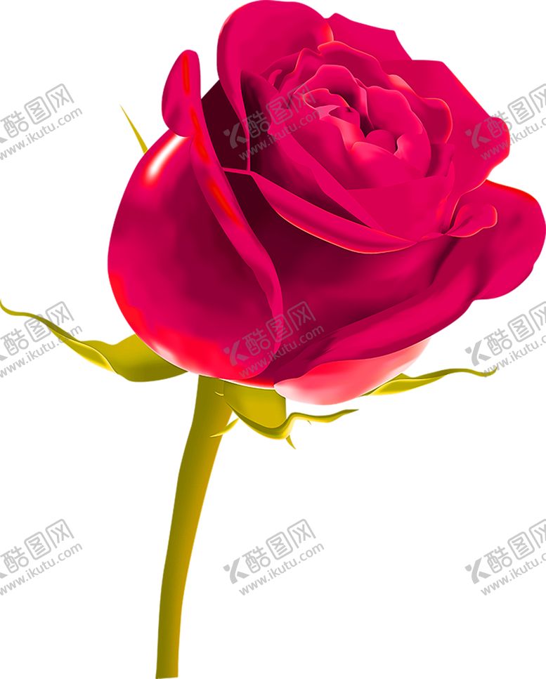 编号：79660307051933205611【酷图网】源文件下载-花素材