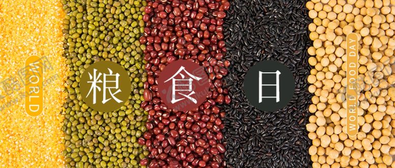 编号：93060509240441545460【酷图网】源文件下载-五谷杂粮海报谷物豆豆素材