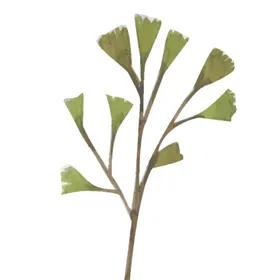 绿色水彩植物树叶