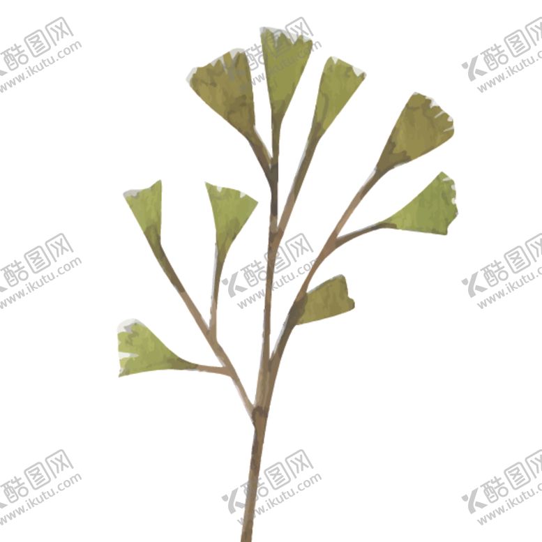 编号：56095809290433392343【酷图网】源文件下载-绿色水彩植物树叶