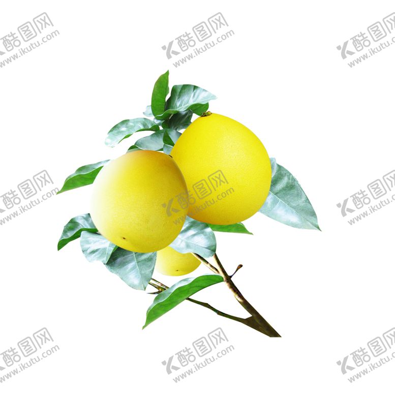 编号：27892207022113561125【酷图网】源文件下载-水果