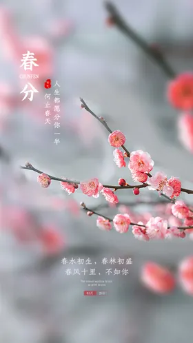 春分地产闪屏青山绿水