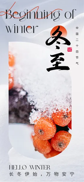 二十四节气冬至海报