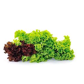 新鲜水果
