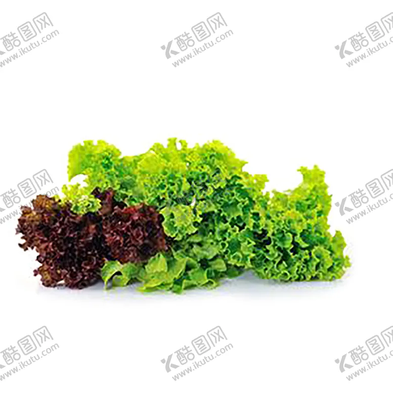 编号：45262307070859561399【酷图网】源文件下载-新鲜水果