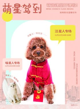 宠物寄养海报