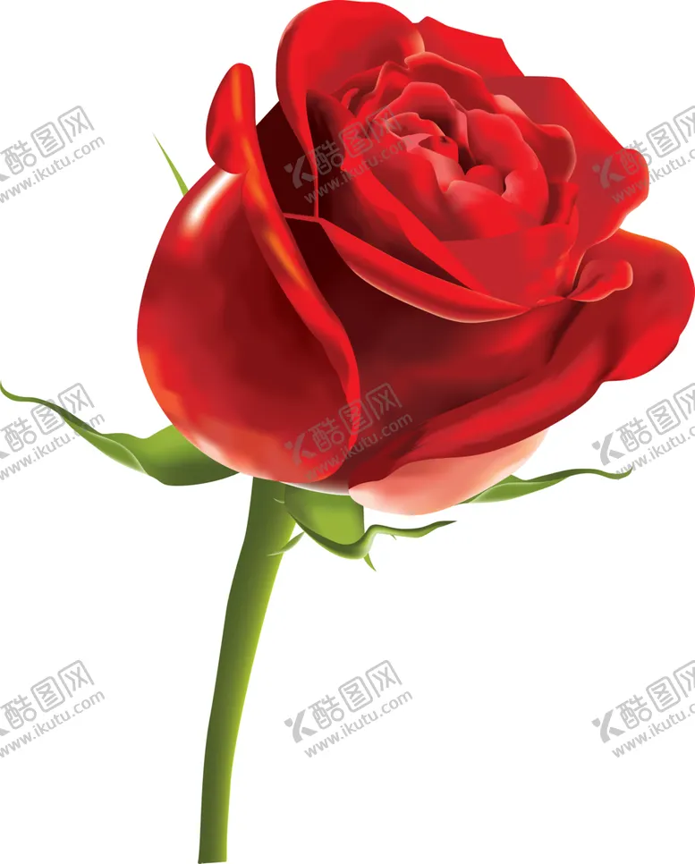 编号：93901901201353592087【酷图网】源文件下载-红玫瑰花PNG免扣鲜花素材