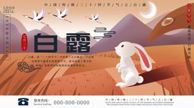 白露节气插画中的可爱白兔