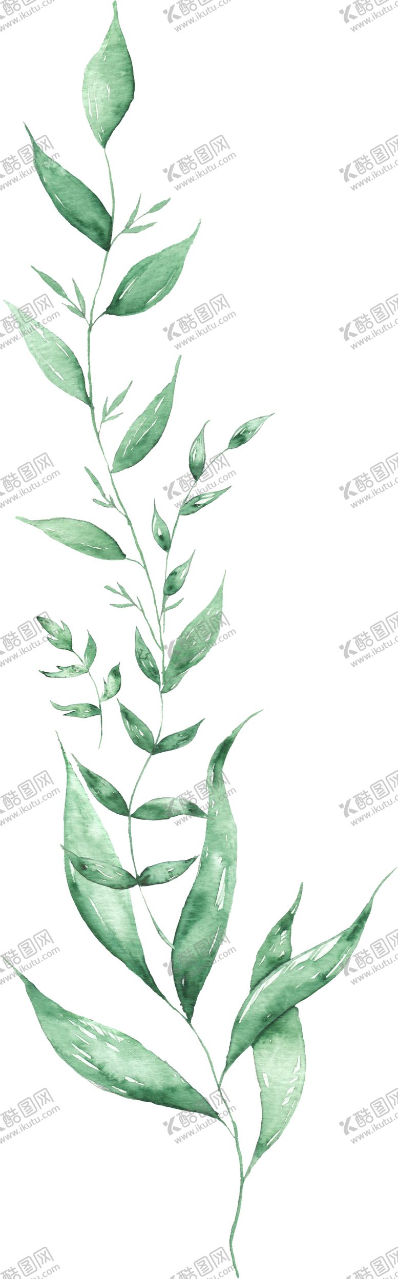 编号：36679809082209177032【酷图网】源文件下载-海报元素花草元素展架元素